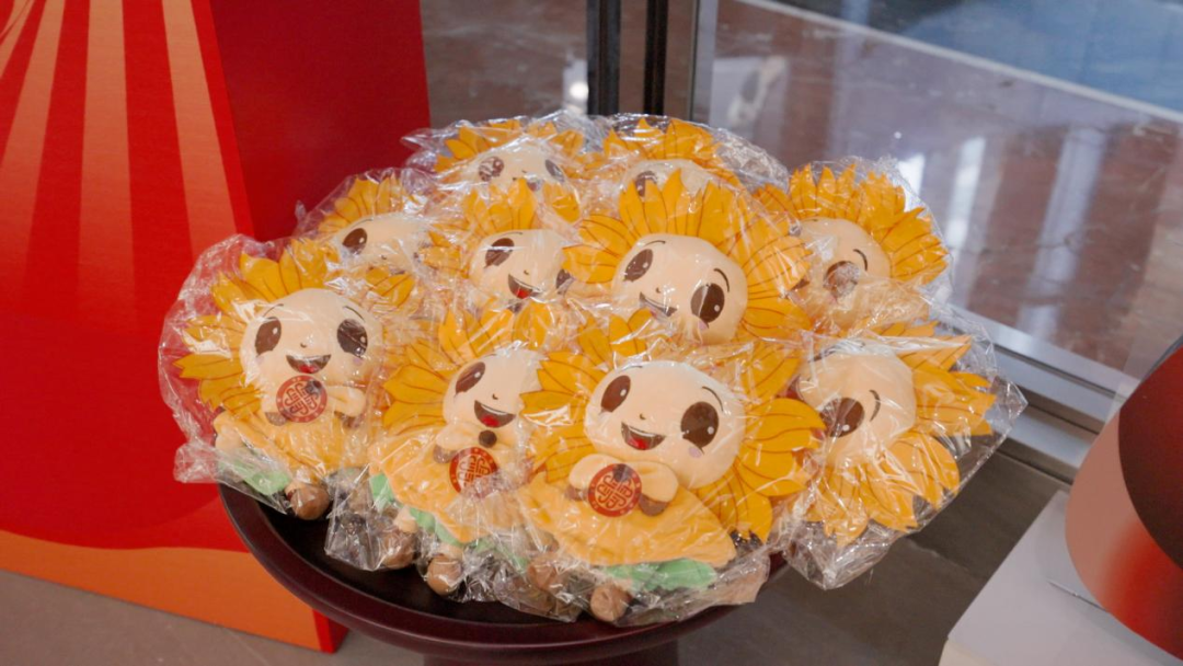 上海慈善周|TA是谁？来自浦东慈善形象大使的温暖自述