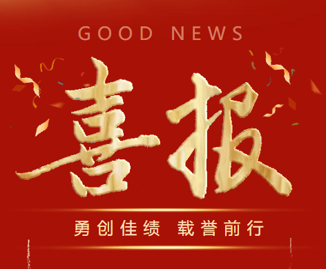 喜报 载誉前行 浦东新区社区事务受理服务中心年度荣誉盘点